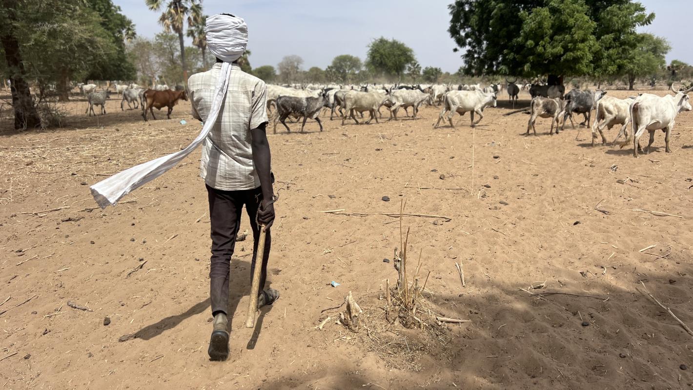 mécanismes locaux de paix de la Vakaga7
