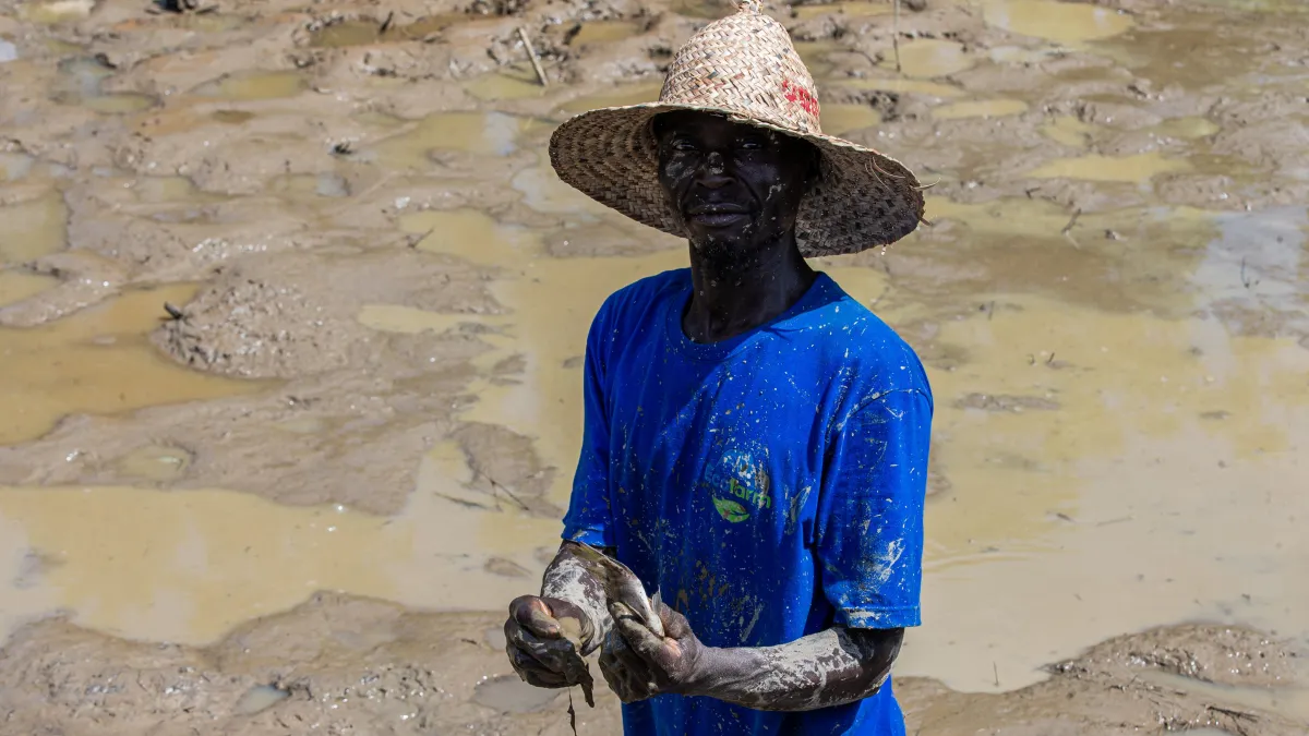 2026-06-03-projet_cvr_en_pisciculture_a_pk_22_liton-2_6300_copie.jpg