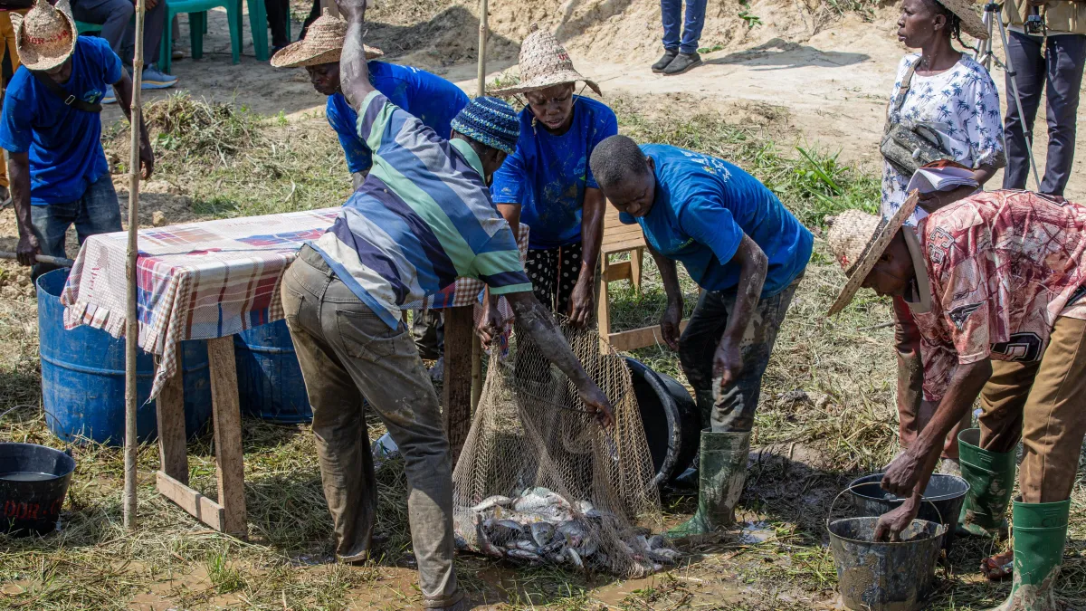 2026-06-03-projet_cvr_en_pisciculture_a_pk_22_liton-2_6310_copie.jpg