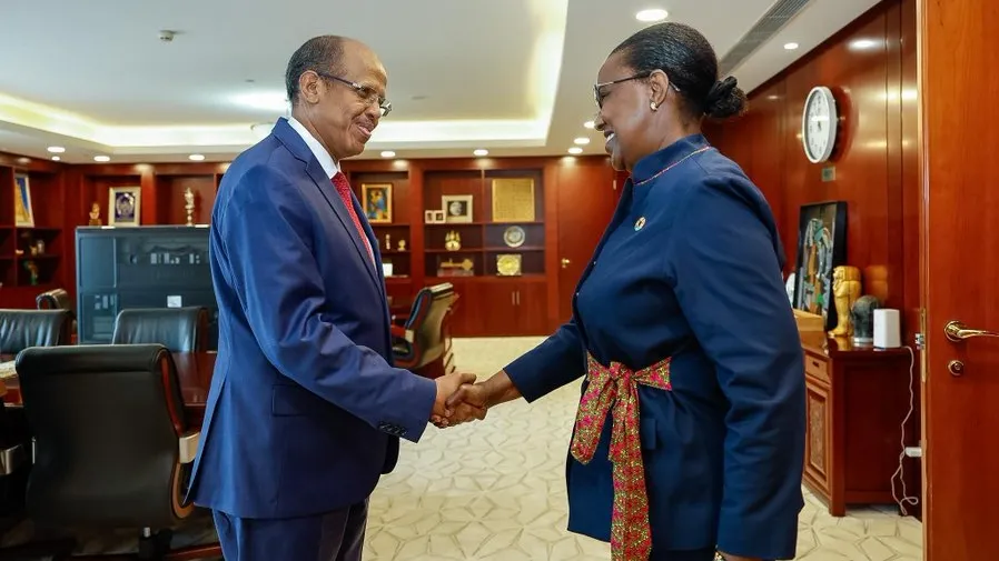 Rencontre SRSG avec president union africain1.jpg