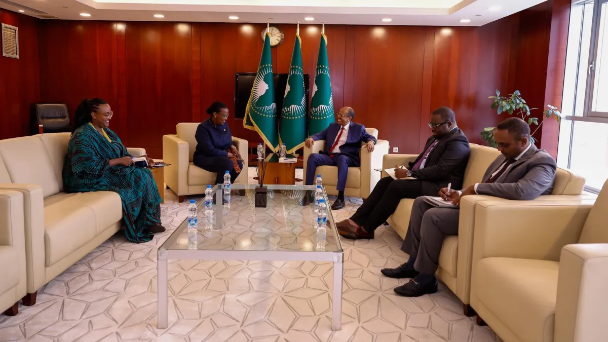 Rencontre SRSG avec president union africain 2.jpg
