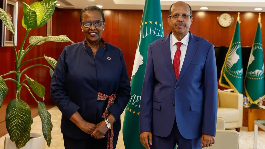 Rencontre SRSG avec president union africain 3.jpg