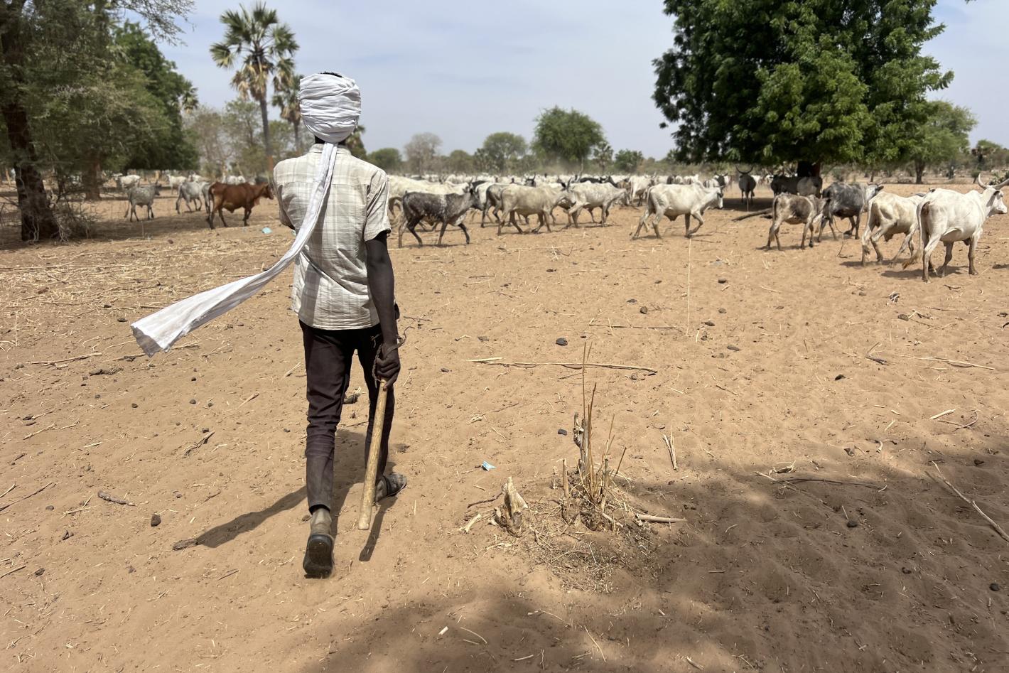 mécanismes locaux de paix de la Vakaga7