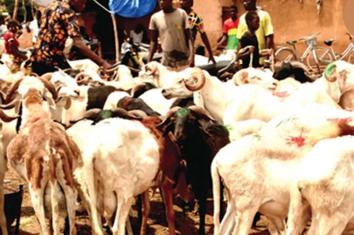 FSI-UNPOL 5