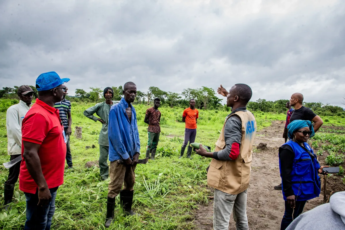2026-05-06-projet-cvr_agriculture_bouboui_pk3-48.jpg