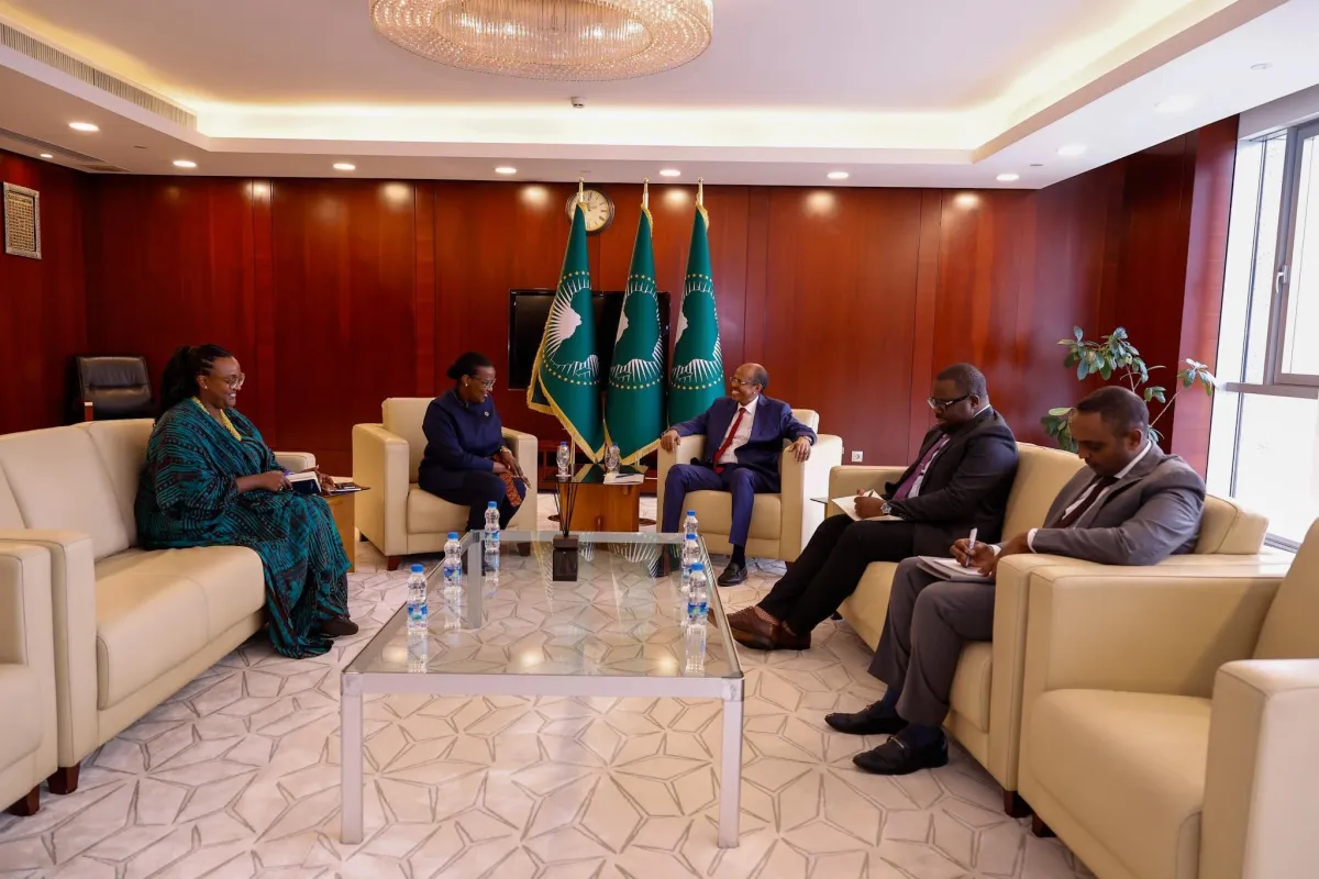 Rencontre SRSG avec president union africain 2.jpg