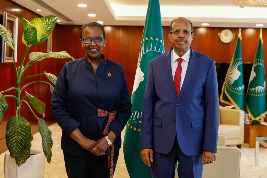 Rencontre SRSG avec president union africain 3.jpg