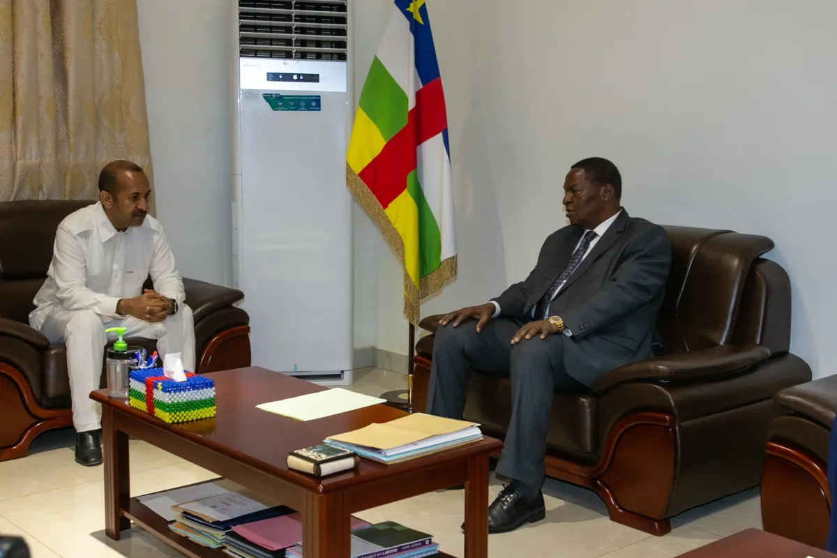 Arrivée à Bangui des otages libérés de Bambouti
