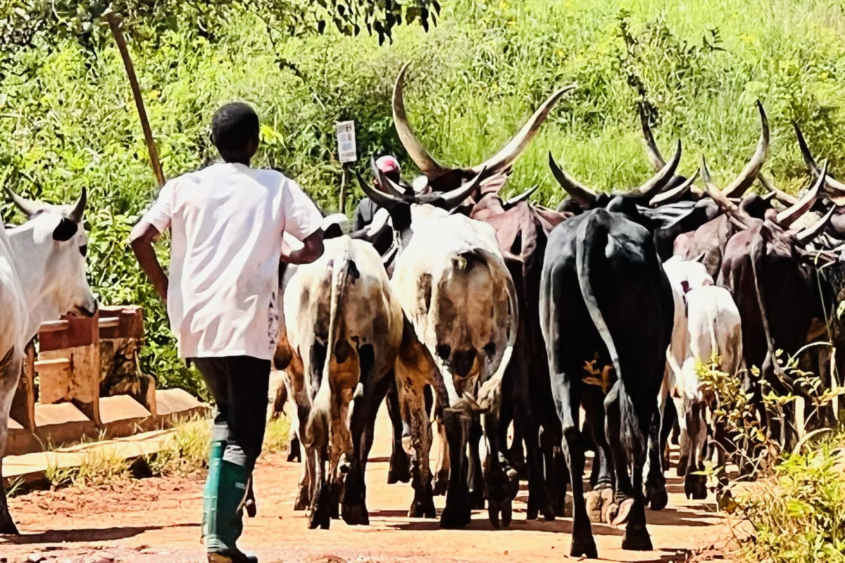 atelier_sur_la_transhumance_-_carnot_oct_6_2026_13.jpeg