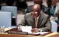 Challenges of Central Africa require continued international support, says UN envoy