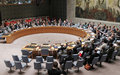 SECURITY COUNCIL PRESS STATEMENT ON CENTRAL AFRICAN REPUBLIC