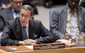 Central African Republic’s leaders must commit to inclusive, transparent governance, Security Council told
