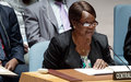 Security Council extends UN Central African Republic Mission through 2017