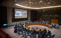 « Le Conseil de sécurité apprécie les évolutions, en dépit de la situation difficile en RCA », dit le Représentant spécial