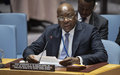 Renew Mandate of United Nations Peacekeeping Mission in Central African Republic with Focus on Elections, Top Official Urges Security Council