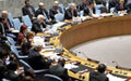 Résolution du Conseil de sécurité sur la situation en république centrafricaine 