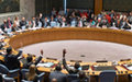 Security Council establishes UN peacekeeping mission in Central African Republic