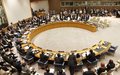 Le Conseil de Sécurité de l'ONU étend le mandat de la MINUSCA pour une période de 12 mois