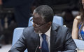 Centrafrique : l'envoyé de l'ONU appelle à un sursaut national pour résoudre la crise