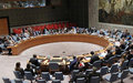 Security Council Press Statement on MINUSCA