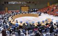 Le Comité du Conseil de sécurité concernant la République centrafricaine ajoute un nom à sa Liste relative aux sanctions
