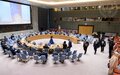 Le rapport du Secrétaire général des Nations Unies sur la République centrafricaine présenté au Conseil de sécurité 