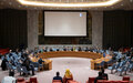 République centrafricaine: le Conseil de sécurité proroge d’un an le mandat de la MINUSCA et condamne les campagnes de désinformation