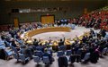 Le Conseil de sécurité proroge le mandat de la MINUSCA pour un an