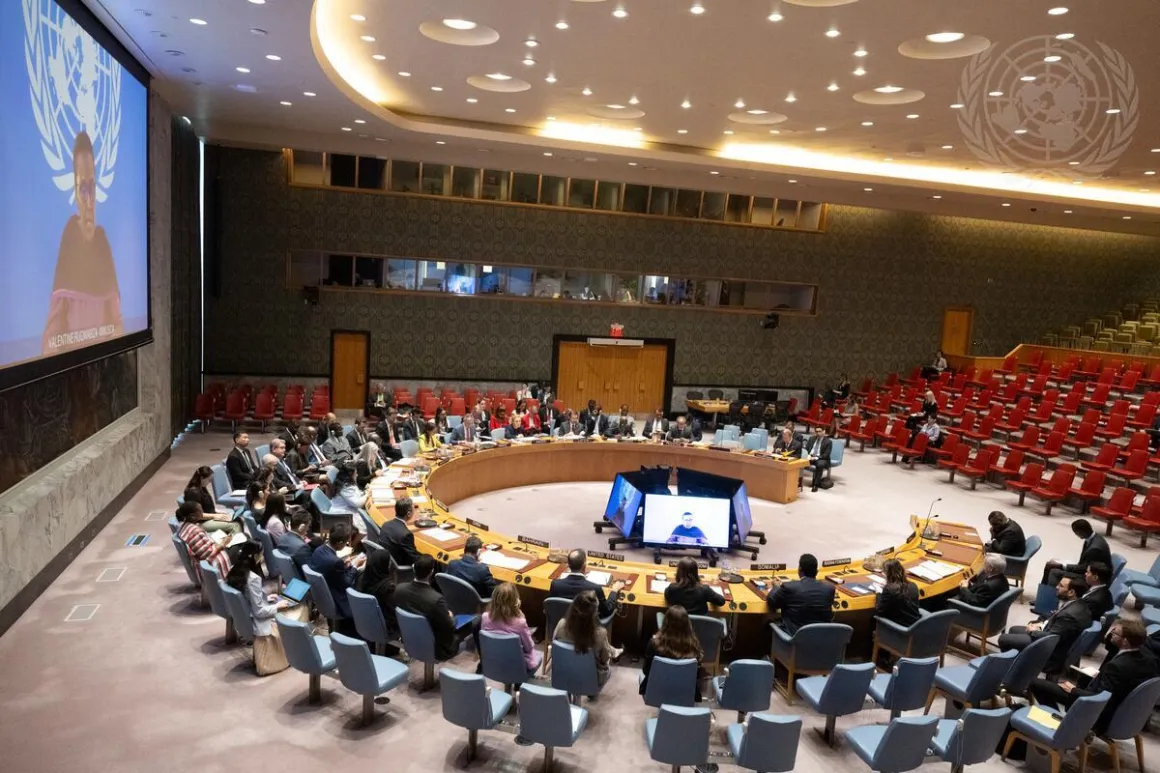 UNSC June 2026