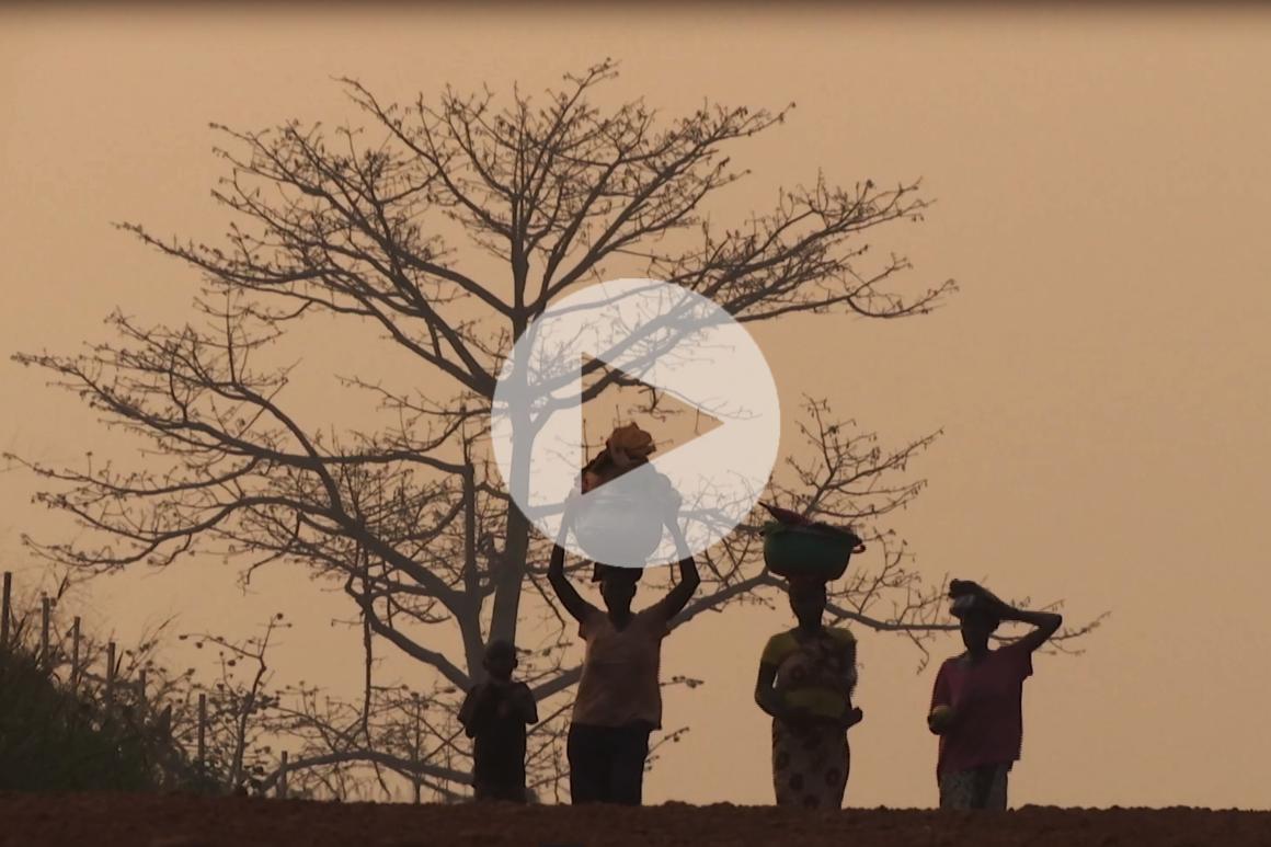 Bangassou: A town recovers from violence